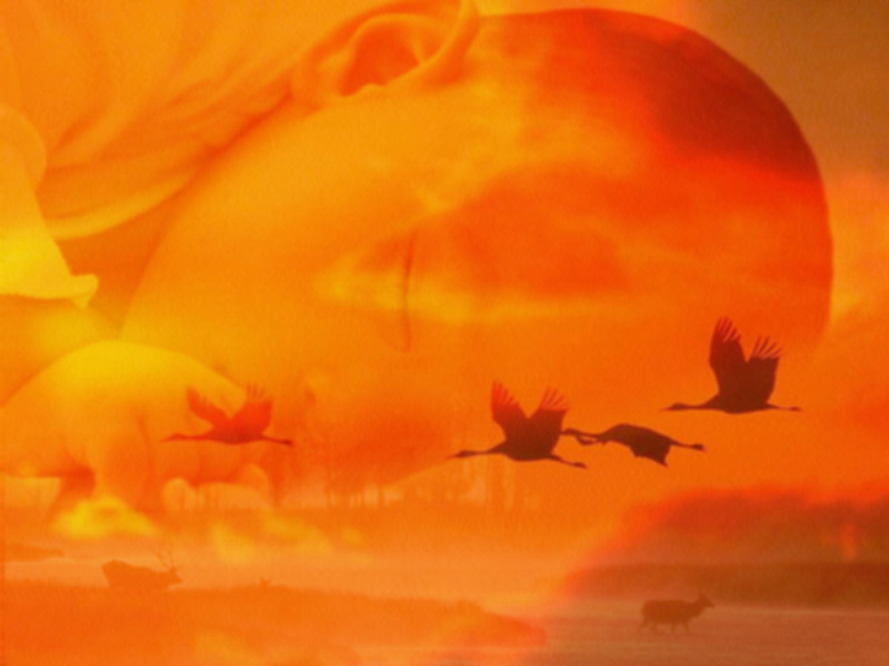 Harmonia (Harmony) — digital art, 1997